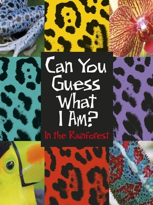 cover image of In the Rainforest